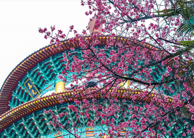 Lentebloesem in China