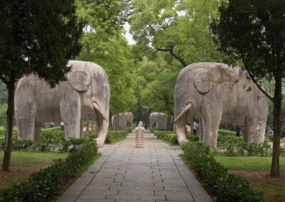 elephant road